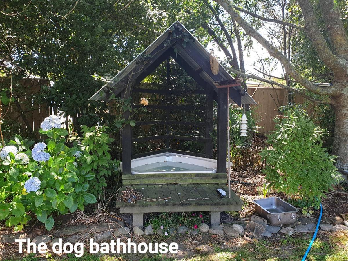 Cabins On Tudor Bed & Breakfast モトゥイーカ エクステリア 写真